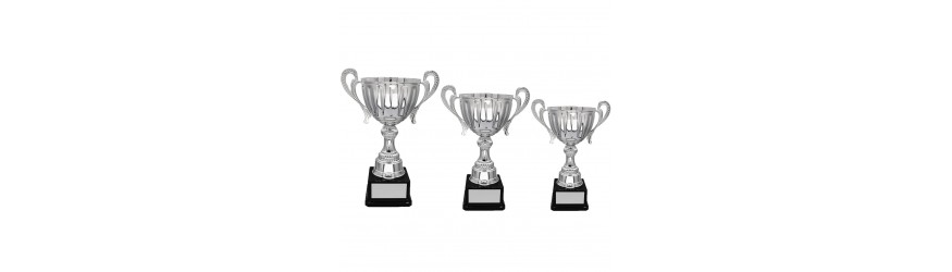 SILVER HANDLED TROPHY CUP ON SILVER RISER AVAILABLE IN 3 SIZES